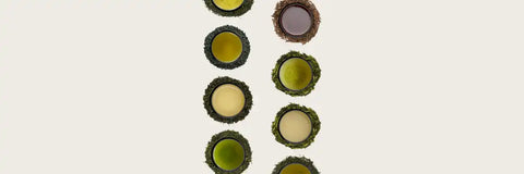 The Green Tea with Highest egcg - Youâd be Surprised