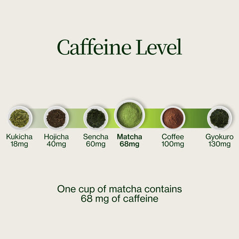 Matcha Advent Calendar 2026