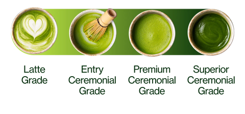 Four green circular icons arranged horizontally on a light-to-dark green gradient background, depicting latte art, a whisk, a smoothie texture, and a dark green drink.