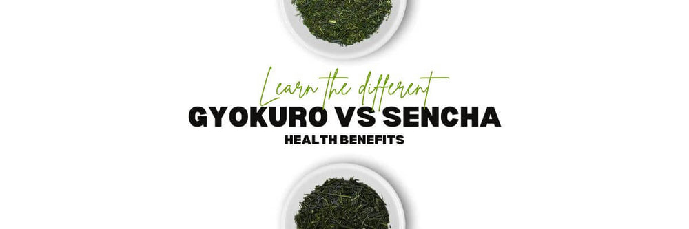 Learn More about the Gyokuro Tea Benefits – Nio Teas