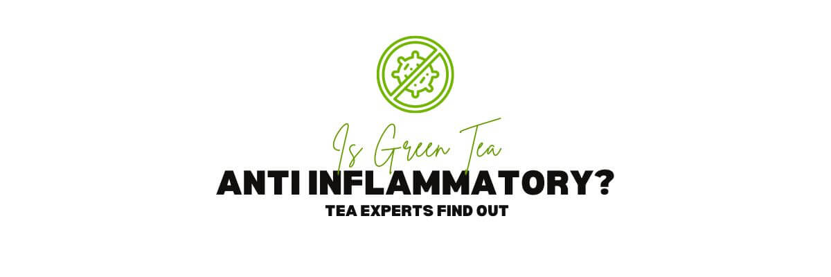 Anti Tea Is Green Tea Anti Inflammatory? Tea Experts Find Out – Nio Teas
