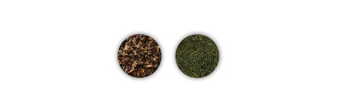 oolong vs sencha