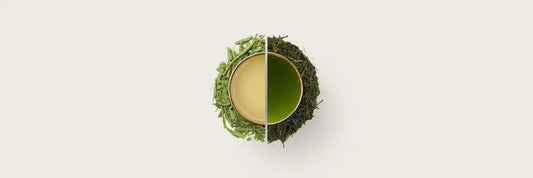 Dragonwell vs Sencha - A Battle of Steam and Fire