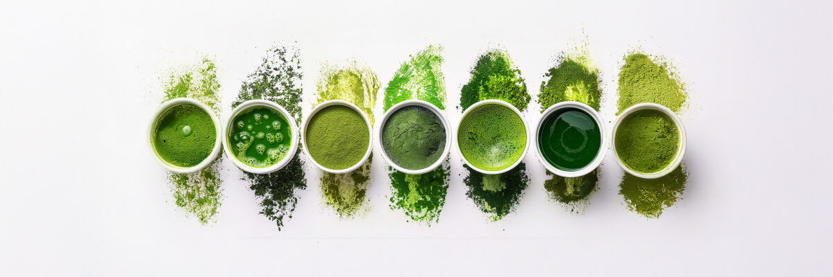 Types of Matcha Explained by Region, Variety and Grade – Nio Teas