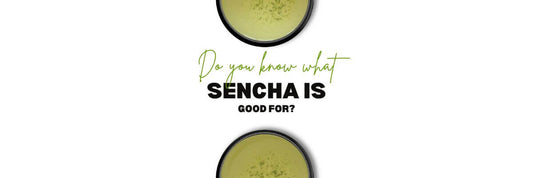 what is sencha good for