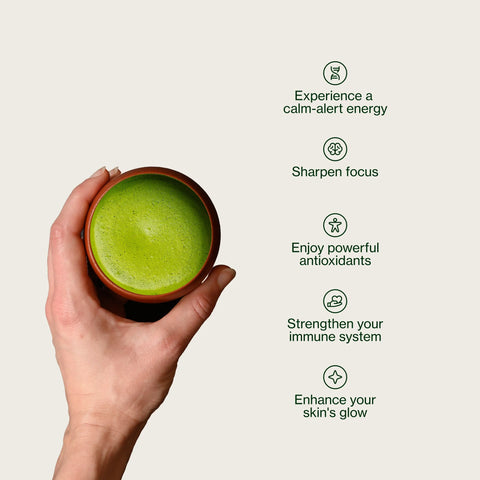 Premium Matcha Chiran Green Tea
