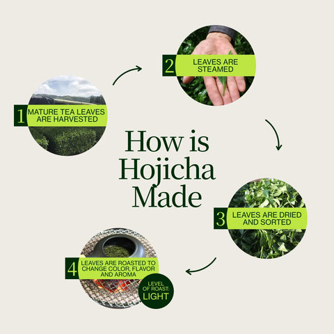 Roasted Hojicha Green Tea Noike