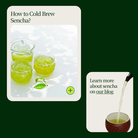 Golden Sencha Yabukita Kasugaen