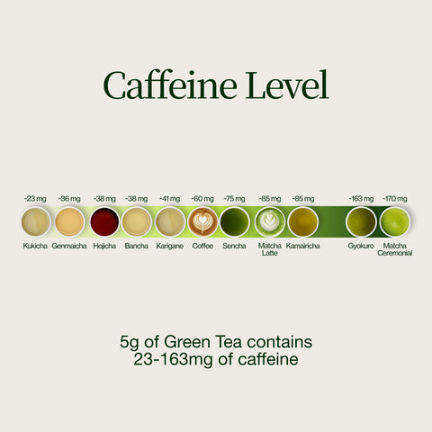 Tea advent calendar 2026: caffeine per 5 g of green tea compared with coffee and matcha