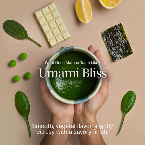 Matcha Advent Calendar 2026