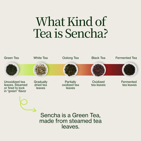 Golden Sencha Yabukita Kasugaen